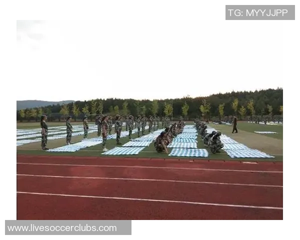 UFC巴埃萨对决精彩回顾与未来战斗展望分析