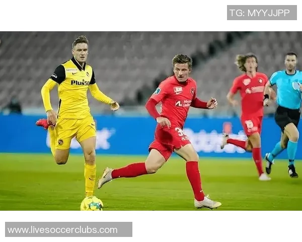 丹麦队逆袭法国队以2比0获胜展现强大实力与团队合作精神