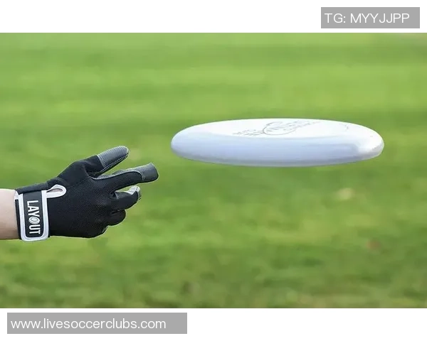 刘军专访：从初学者到飞盘高手的成长与心路历程回顾