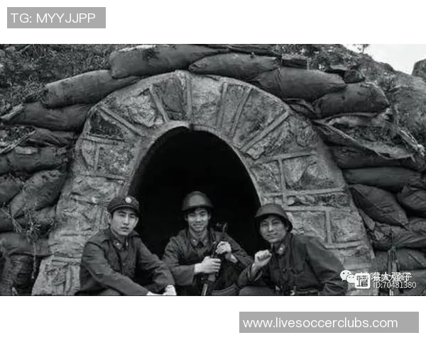 南京排球队逆袭之路：从困境到辉煌的反击之战解析